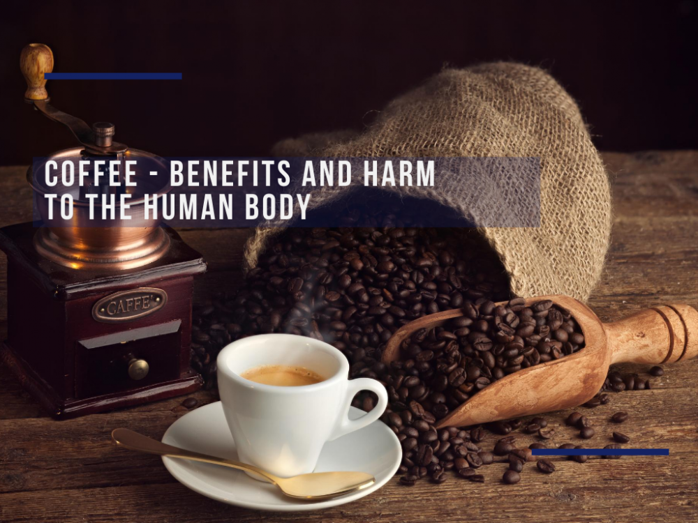 Coffee — benefits, and harm for the human body